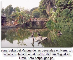 parque-de-las-leyendas-peru-foto-patpal_gob_pe-via-peruenvideos