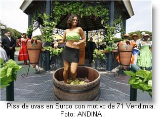 vendimia-en-surco-lima-peru_foto-andina-via-peruenvideos