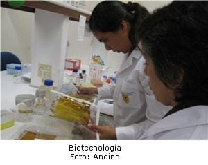 Biodiversidad Concytec
