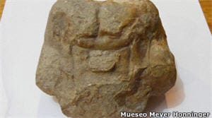 Cerebro fosilizado hallado en la región Amazonas