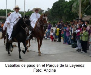 Caballos de pasos en el Parque de las Leyendas
