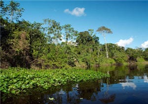 río Amazonas