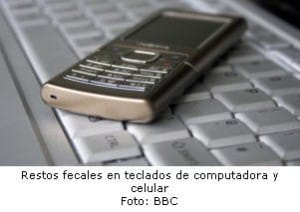 Celular contienen bacterias - noticias