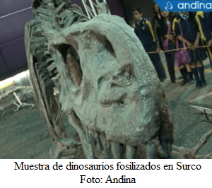 Exhibición de fósiles de dinosaurio en Surco - noticias