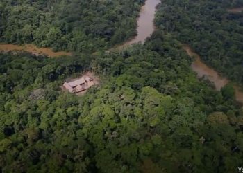 Imagen desde lo alto de todo el paisaje de la Reserva Nacional de Pucacuro