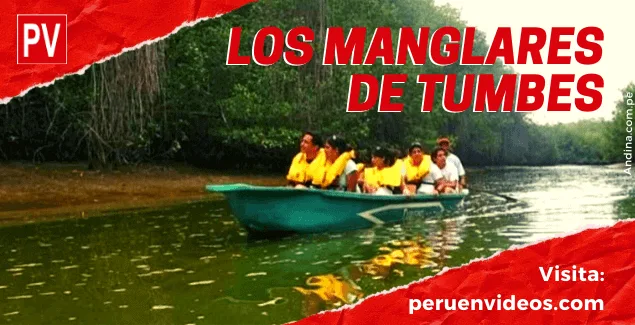 Santurario Nacional Los Manglares de Tumbes