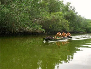 Santuario Nacional Manglares de Tumbes Santuario Nacional Manglares de Tumbes