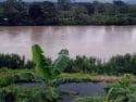 Tocache, la tierra del cacao y el café