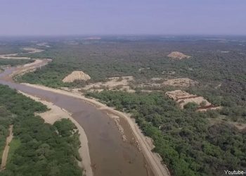 Vista panorámica del Bosque de Pómac en Lambayeque