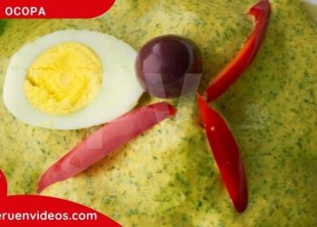 Imagen de la ocopa con huevo y aceituna