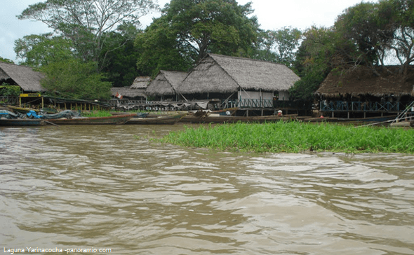 comunidades nativas en la laguna yarinacocha Nativos en laguna de Pucallpa