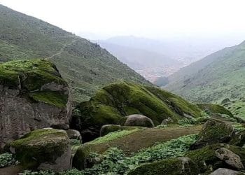 Vista de uno de los caminos en las Lomas de Mangomarca en Lima