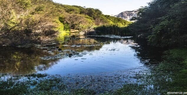 Bosque Cañoncillo, un oasis ideal para deportes de aventura