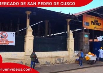 Historia del Mercado de San Pedro de Cusco y qué comprar