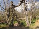 Imagen de la escultura gigante de Groot en el Humeda de Huasao en Cusco