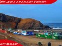 Post cómo llegar a la playa León Dormido de Cañete en Lima, Perú.