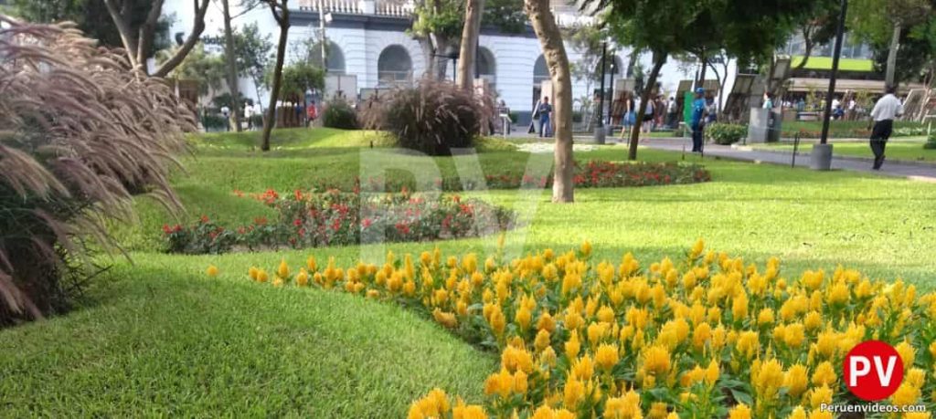Áreas verdes en el concurrido Parque Kennedy del distrito de Miraflores en Lima