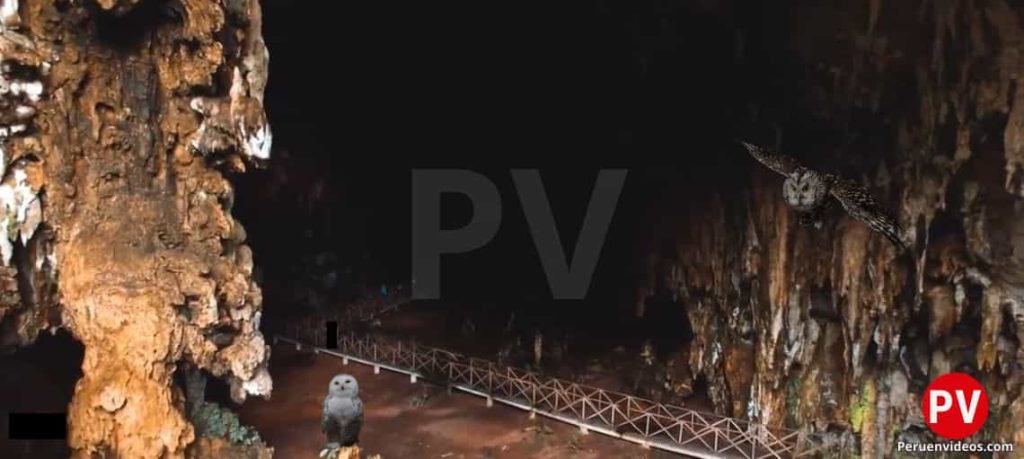 Cueva de las lechuzas en Tingomaría, Huánuco