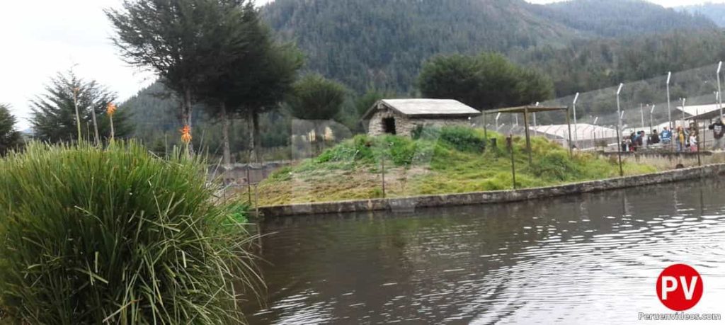 La laguna en la Granja Porcón en Cajamarca