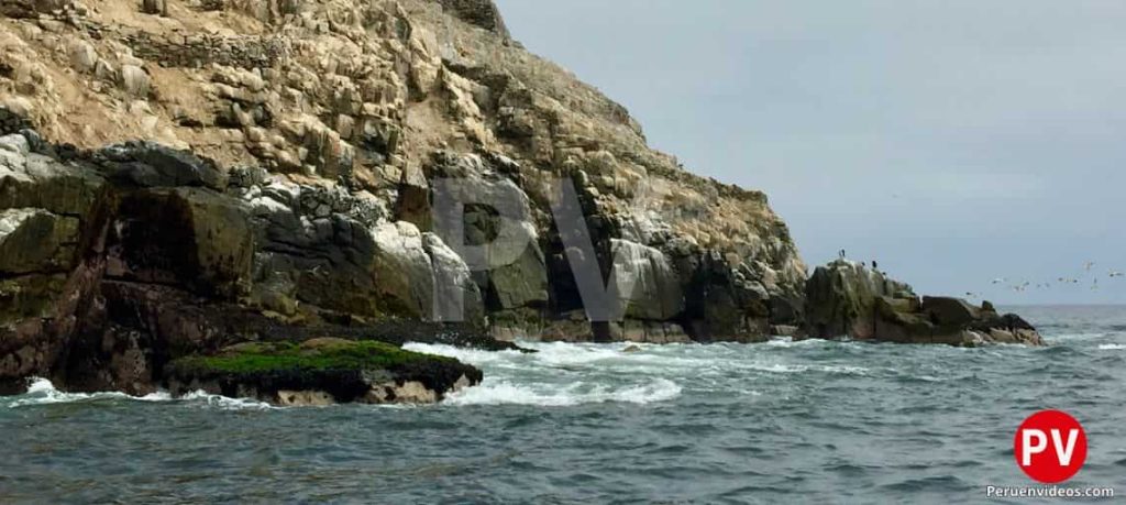 Las olas del mar reventando en las orillas de las Islas Palomino mientras lobos marinos descansan en su superficie.