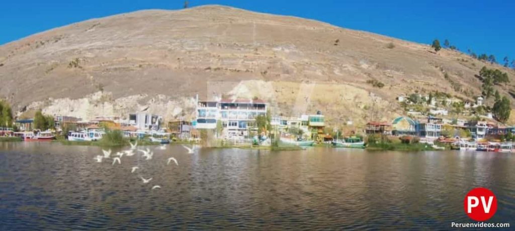La laguna de Paca teniendo al fondo casas en las orillas y gaviotas sobre sus aguas.