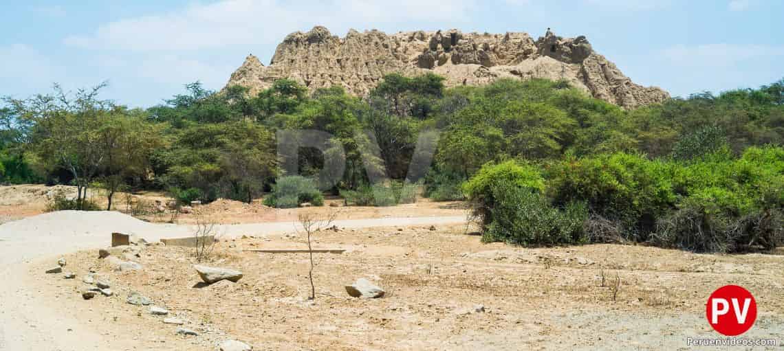 Bosque Pomac en Chiclayo, Lambayeque