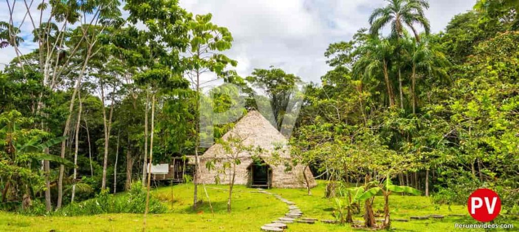 Casa rústica en medio de árboles de la selva peruana.