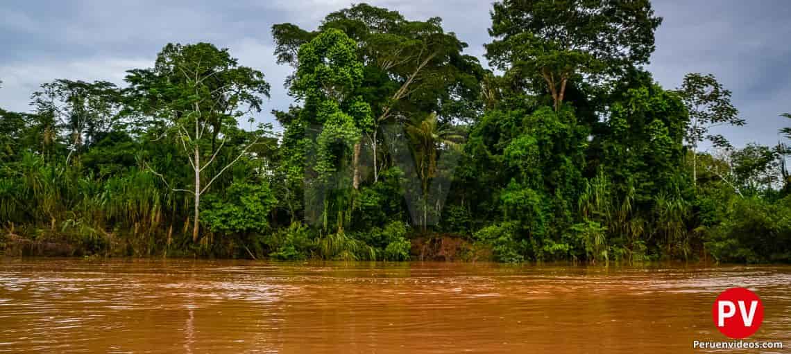 Río Madre de Dios con abundante vegetación en su orilla.