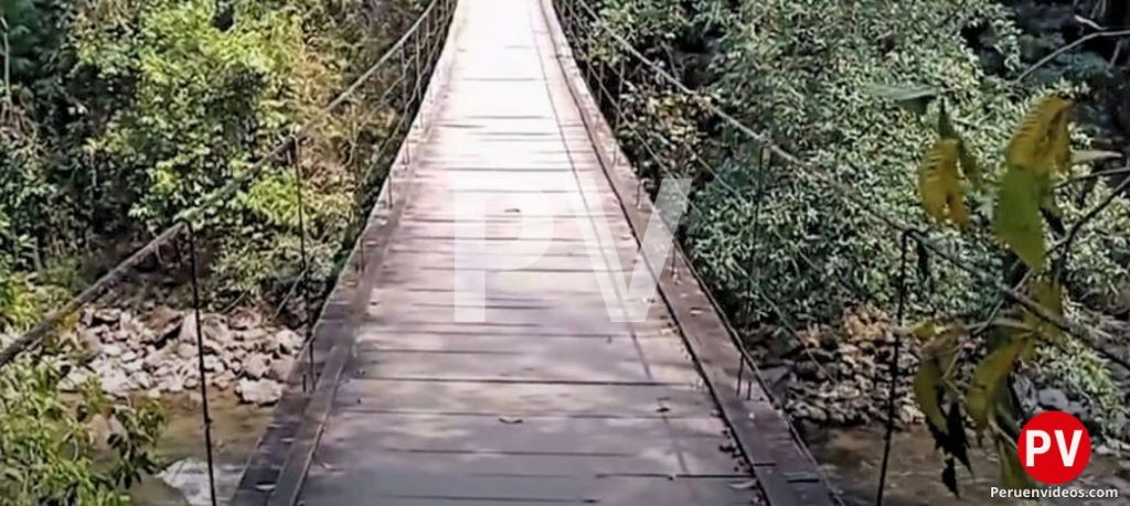 Puente sobre una abundante vegetación en Pozuzo