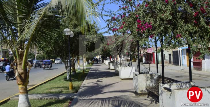 Calles de Máncora con árboles y sendero para dar paseos, un lugar perfecto para seguir haciendo turismo en Máncora.