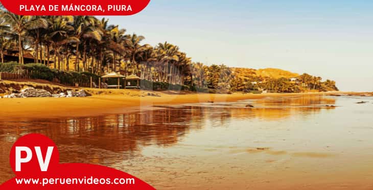 Orilla con palmeras en la playa de Máncora, en Piura