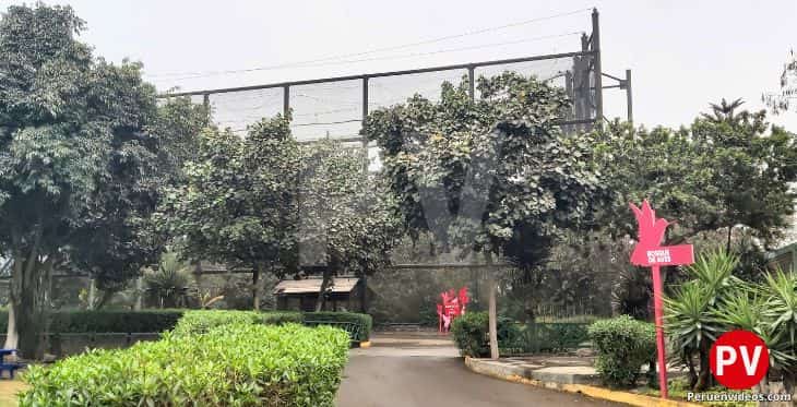 Jaula gigante en la zona de aves